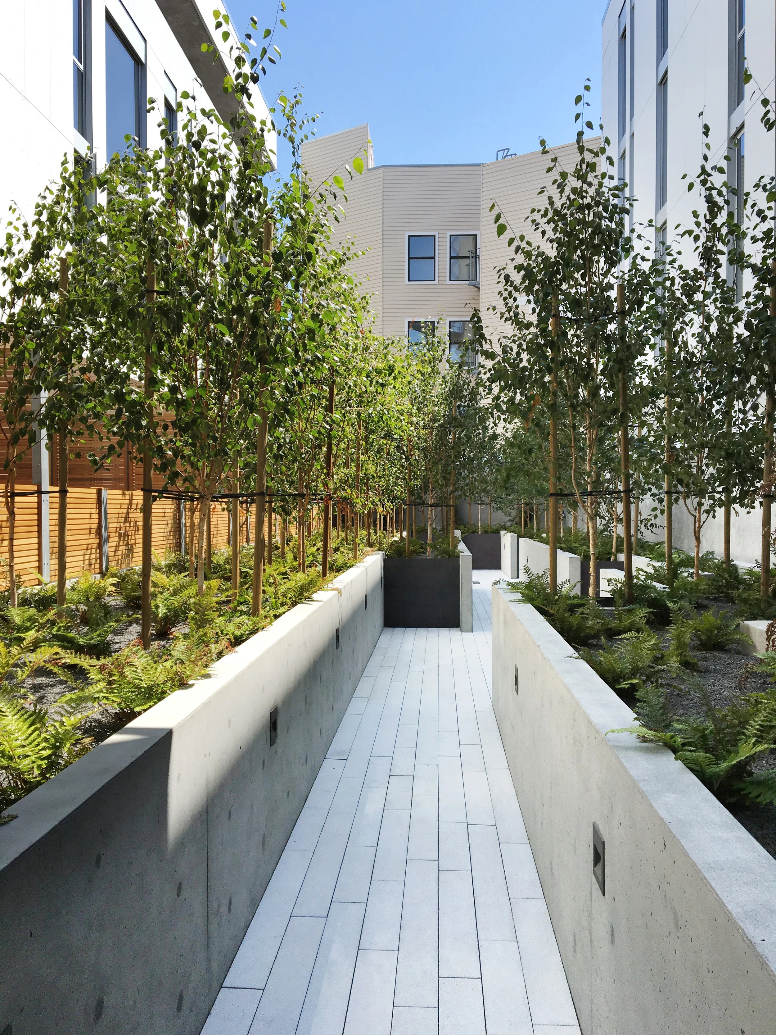 450 Hayes