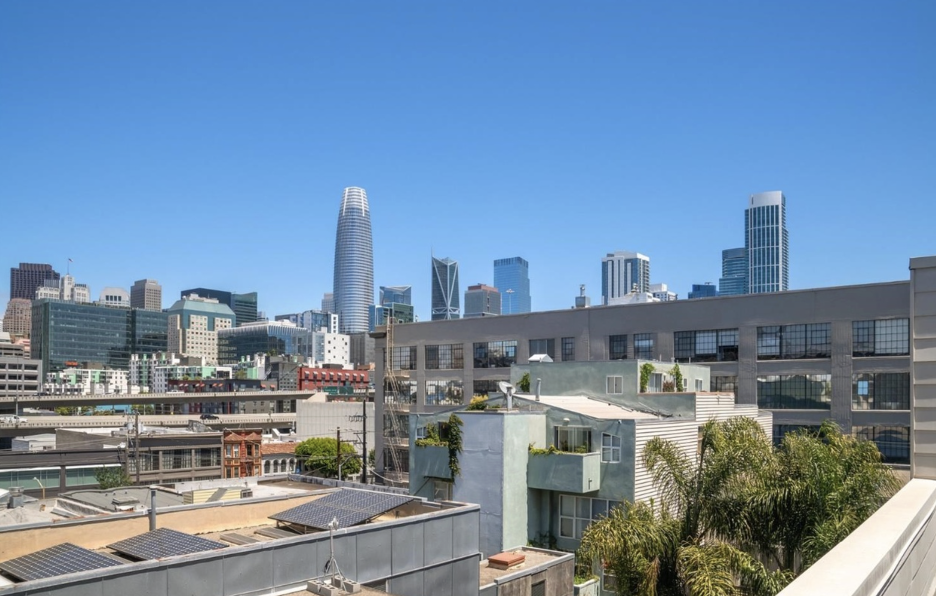 49 Zoe St