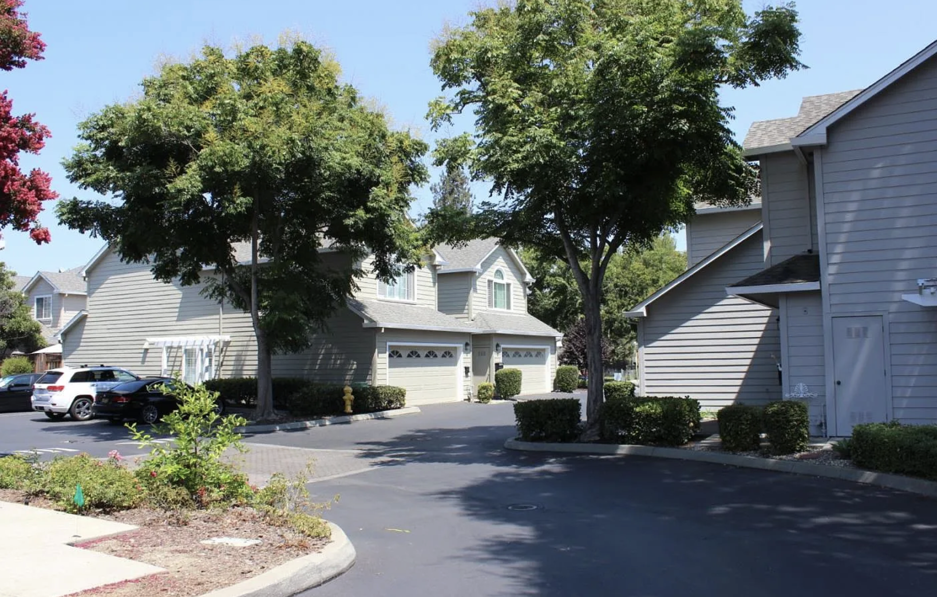 Orchard Grove