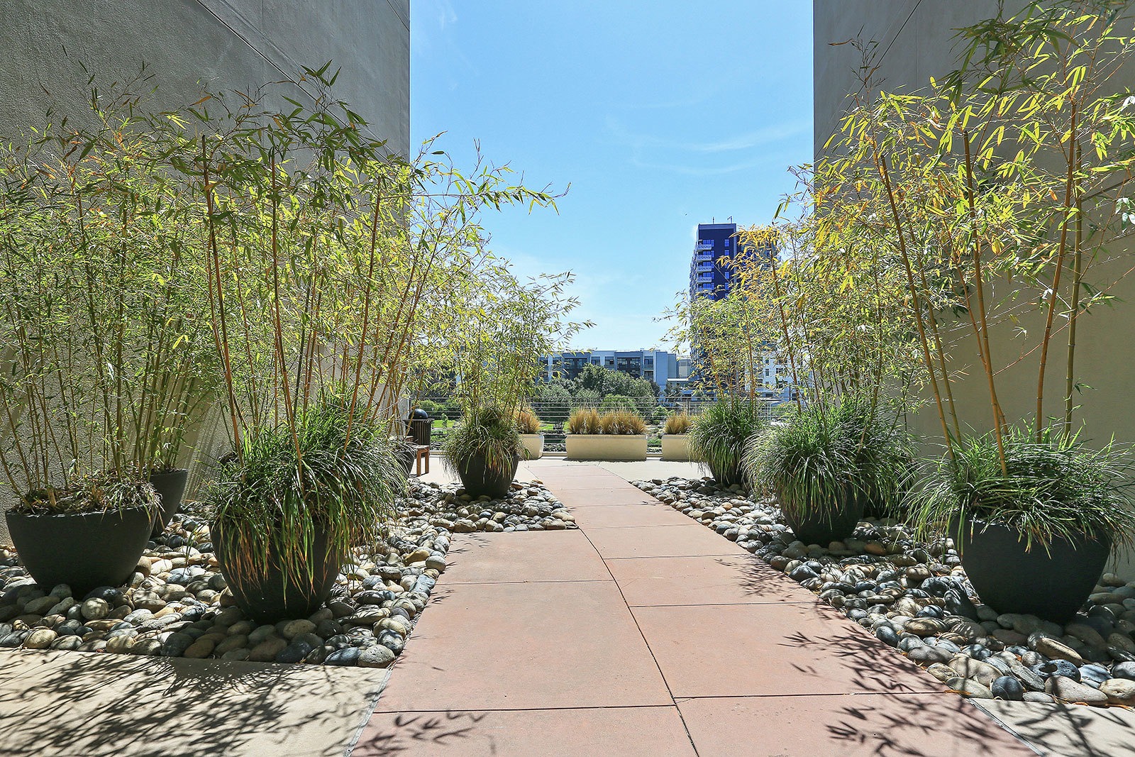 Park Terrace