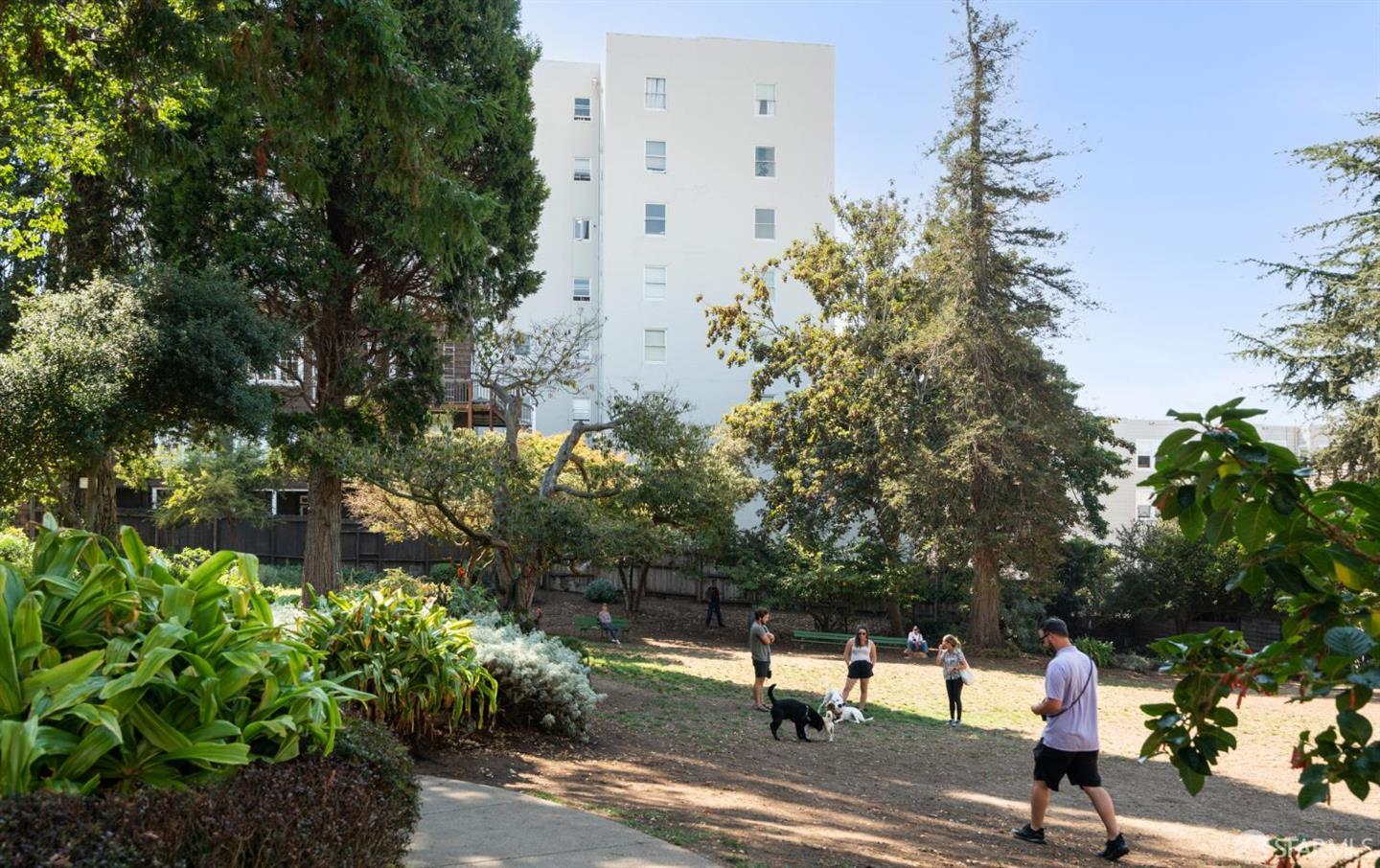 2315 Van Ness Avenue #7 — photo 24
