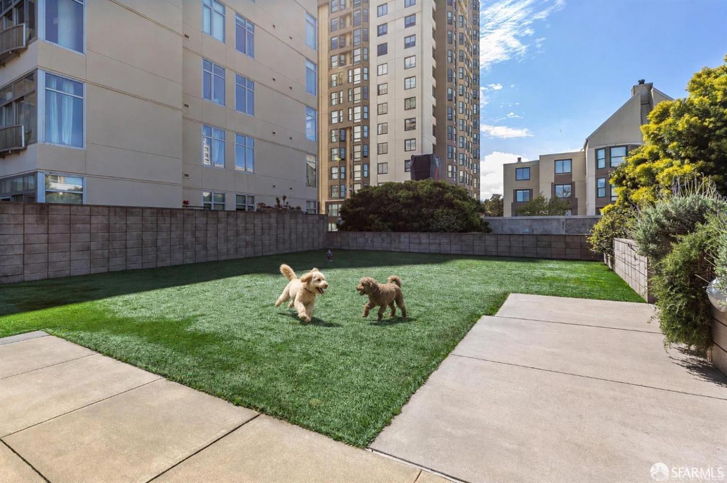 1310 Fillmore Street #PH2E — photo 5